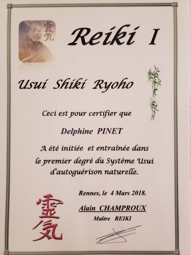 Reiki niveau 1 delphine Pinet Reiki niveau 1 delphine Pinet