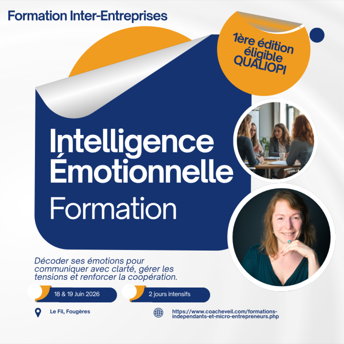 formation d&eacute;velopper son intelligence &eacute;motionnelle